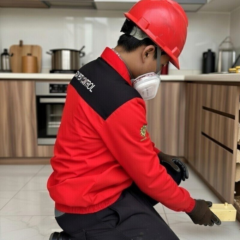 Anti Rayap Terdekat di Malang