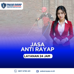 Jasa Anti Rayap Pra-Konstruksi Termurah