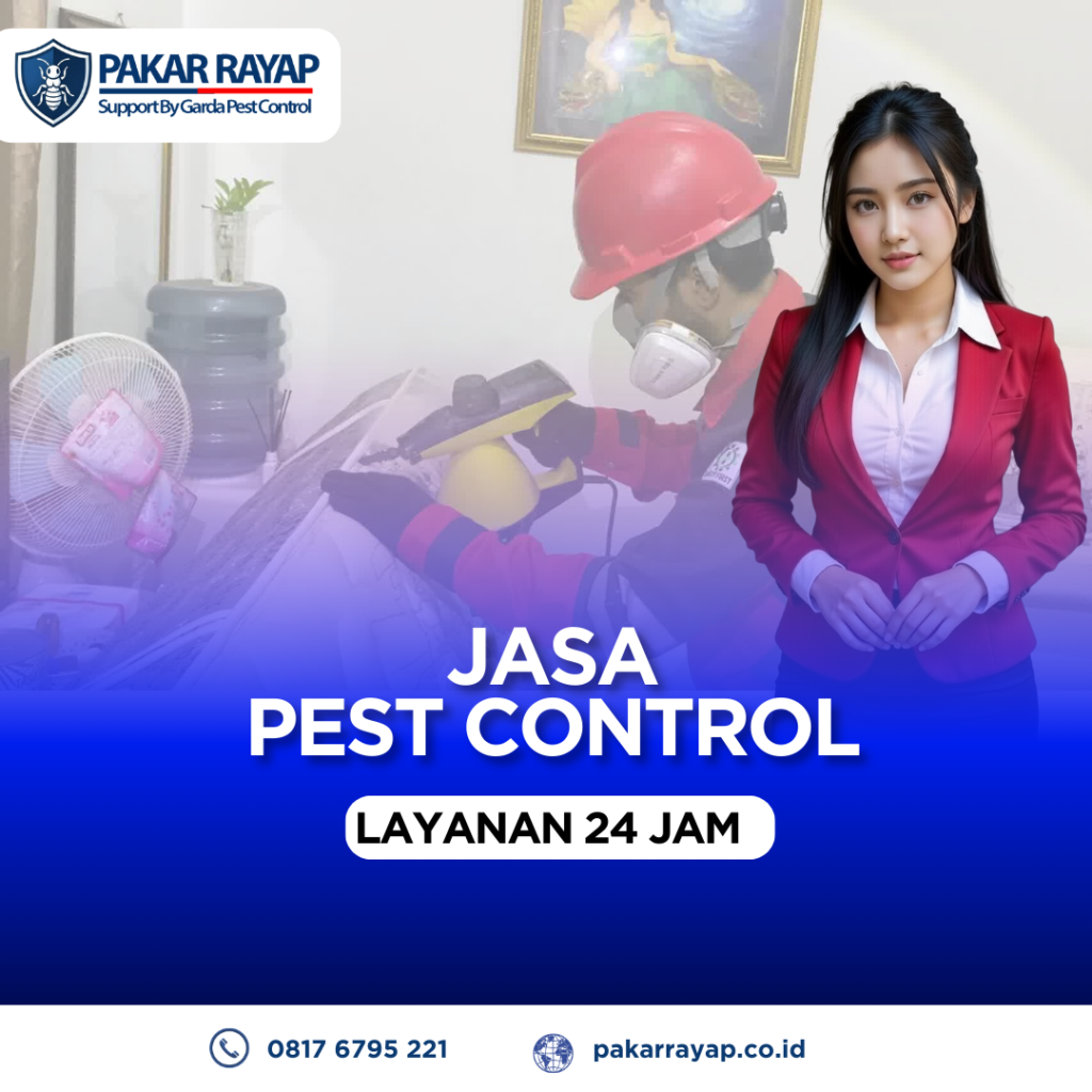 Jasa Pembasmi Kutu Busuk (Tumila,Tinggi, Kutu Kasur) Bergaransi