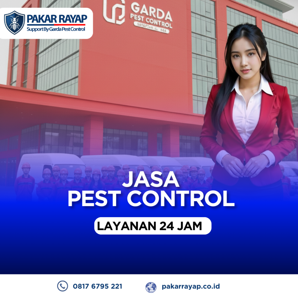 Jasa Pembasmi Tikus di Rumah, Kantor & Tempat Usaha