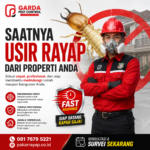 Pakar Anti Rayap: Jasa Anti Rayap di Solo yang Terbukti Efektif
