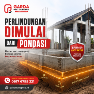 Jasa Anti Rayap Brebes