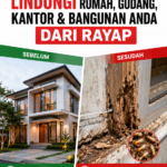 Layanan Anti Rayap Bergaransi Solo: Proteksi Unggul Properti Anda dari Ancaman Serius