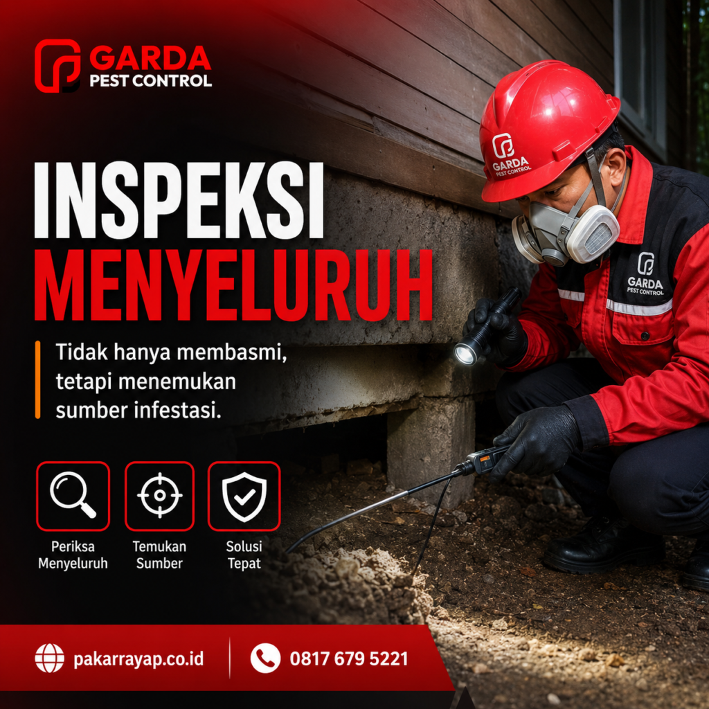 Jasa Anti Rayap Bergaransi di Bogor: Perlindungan Properti Optimal dari Pakar Anti Rayap