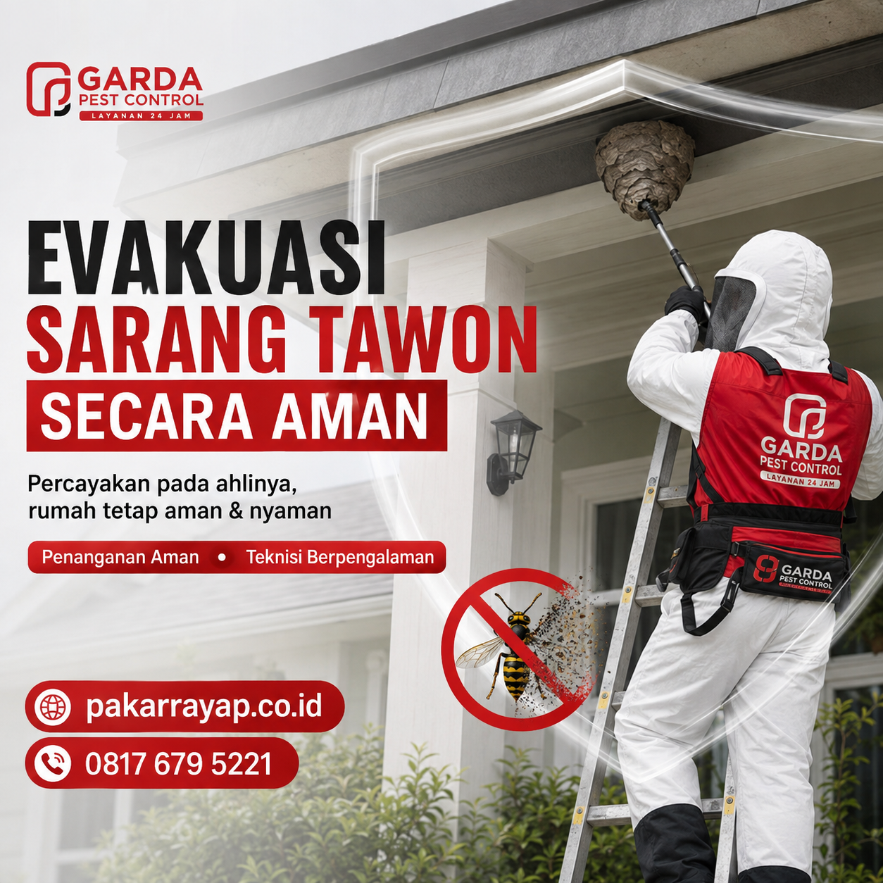 Jasa Pembasmi Tawon Vespa (Ndas) Bergaransi