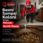 Tanda Kerusakan Struktur Rumah Butuh Jasa Pembasmi Rayap Profesional